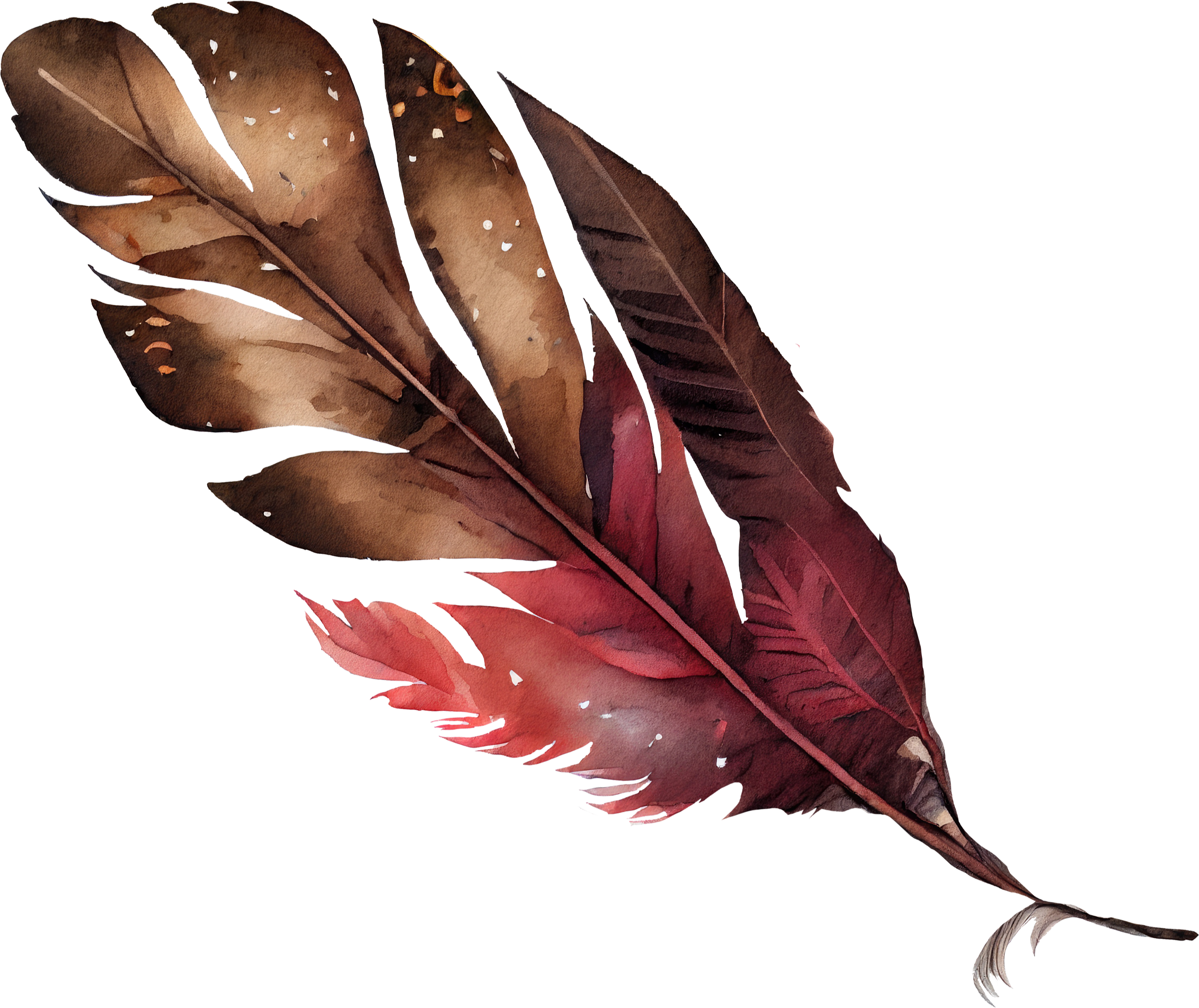 feather-learning